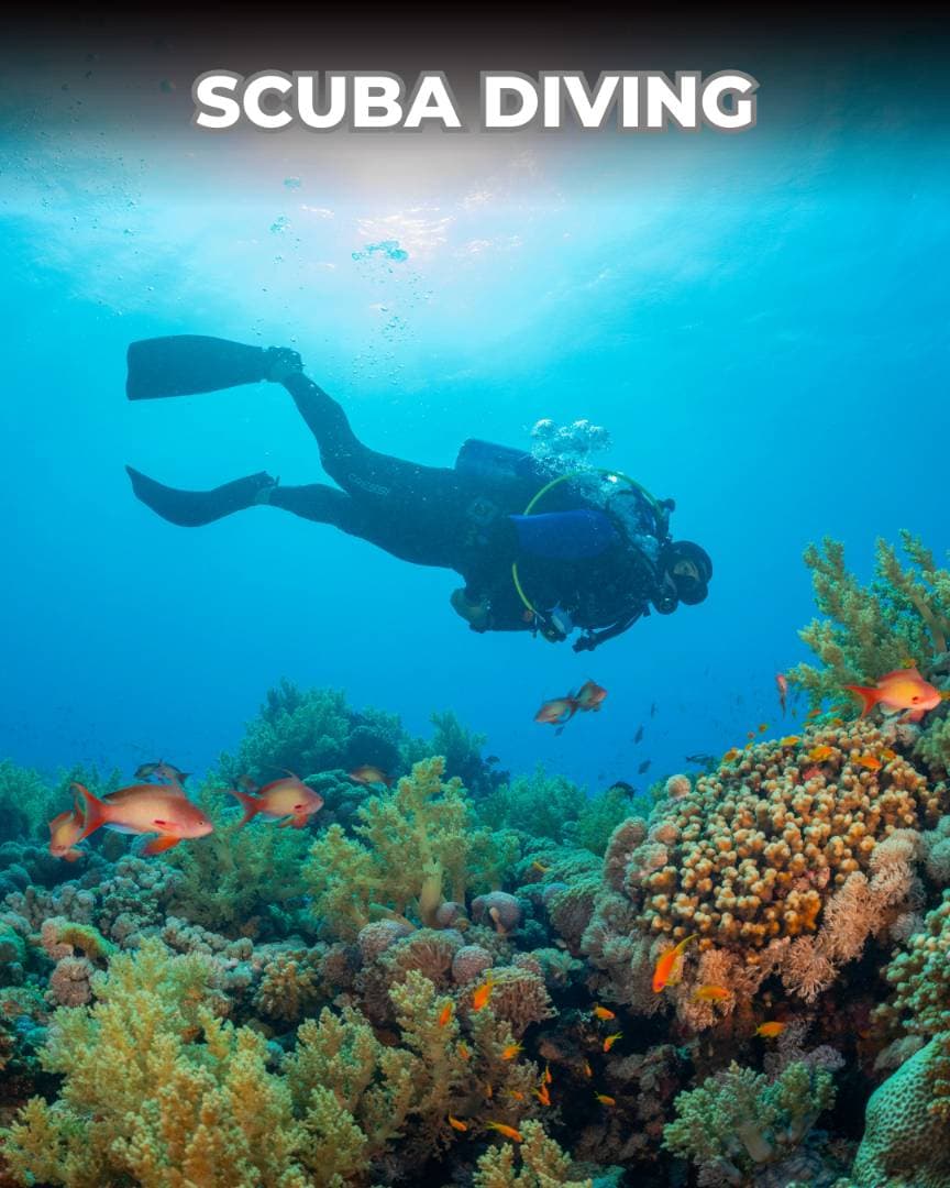 Tauchabenteuer in Fethiye oder Ölüdeniz